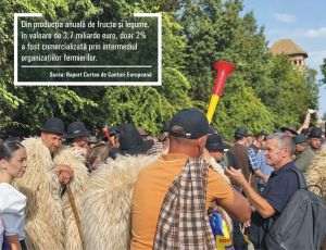 Mii de fermieri au protestat ieri în faţa Palatului Victoria, acuzând subfinanţarea agriculturii şi zootehniei româneşti. Protestul spontan fusese anunţat în prealabil de crescătorii de oi.